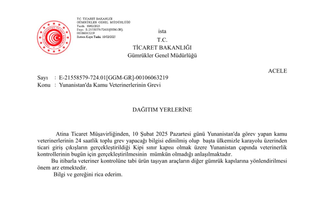 STA Gümrük Müşavirliği